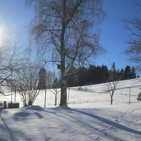 아파트 Haus Jurisch *